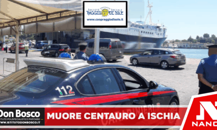 Casamicciola Terme: un 65enne in sella al proprio Yamaha T Max perdeva il controllo del mezzo andando a sbattere contro un albero.