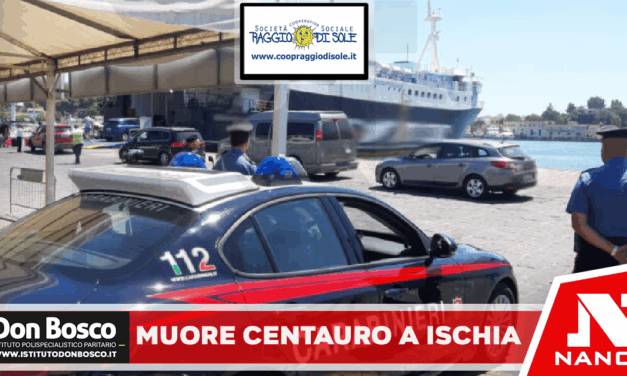 Casamicciola Terme: un 65enne in sella al proprio Yamaha T Max perdeva il controllo del mezzo andando a sbattere contro un albero.