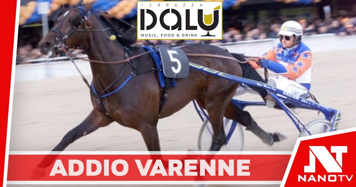 Morto Varenne, cavallo leggendario: il miglior trottatore di tutti i tempi aveva 31 anni