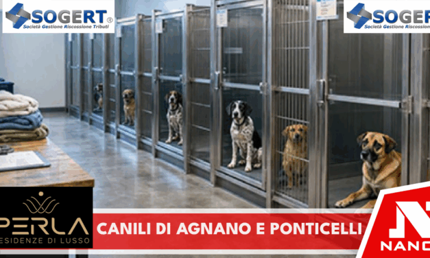 Canili di Agnano e Ponticelli, Baretta e Saggese: nei prossimi giorni l’incontro con i gestori per condividere i percorsi di regolarizzazione