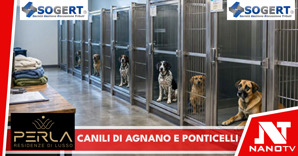 Canili di Agnano e Ponticelli, Baretta e Saggese: nei prossimi giorni l’incontro con i gestori per condividere i percorsi di regolarizzazione