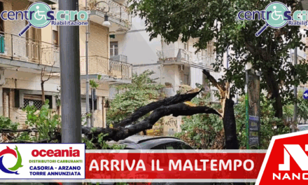 Arriva il maltempo, danni e disagi sul territorio: alberi caduti a Salerno, nel Cilento danneggiate le luminarie