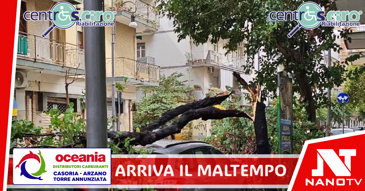Arriva il maltempo, danni e disagi sul territorio: alberi caduti a Salerno, nel Cilento danneggiate le luminarie