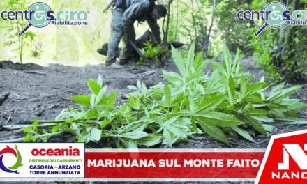 Gragnano | Marijuana coltivata sul monte Faito: condannato il nipote del boss