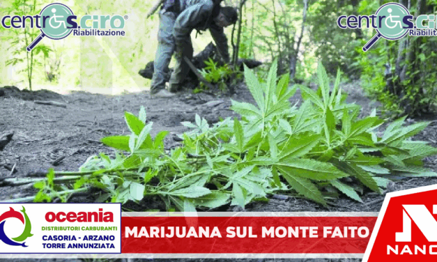 Gragnano | Marijuana coltivata sul monte Faito: condannato il nipote del boss