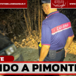 *PIMONTE*: Ieri sera, i carabinieri della compagnia di Castellammare e del Nucleo Investigativo di Torre Annunziata sono intervenuti per un omicidio.