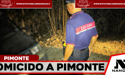*PIMONTE*: Ieri sera, i carabinieri della compagnia di Castellammare e del Nucleo Investigativo di Torre Annunziata sono intervenuti per un omicidio.