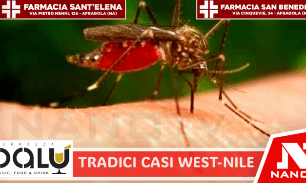 Tredici casi di West Nile, la provincia di Caserta inserita nella ‘zona rossa’ dall’Iss