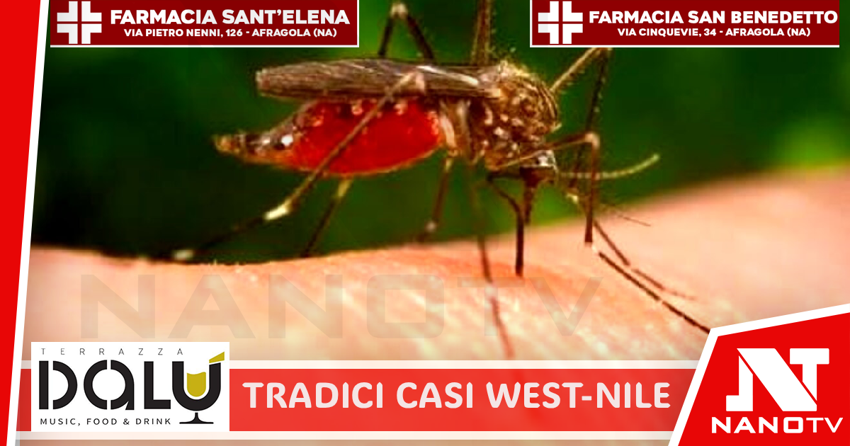 Tredici casi di West Nile, la provincia di Caserta inserita nella ‘zona rossa’ dall’Iss