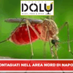 West Nile: contagiati nell area nord di napoli, ricoverati in ospedali