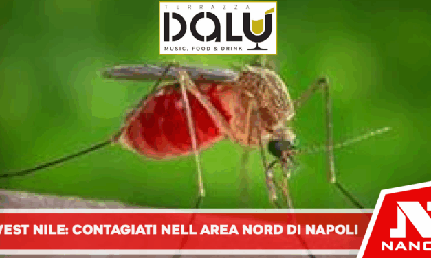West Nile: contagiati nell area nord di napoli, ricoverati in ospedali