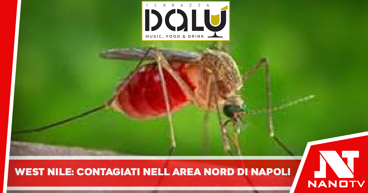 West Nile: contagiati nell area nord di napoli, ricoverati in ospedali