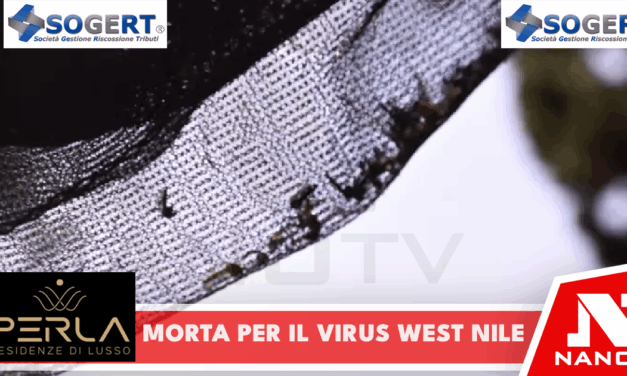 Donna muore nel Napoletano per il virus West Nile