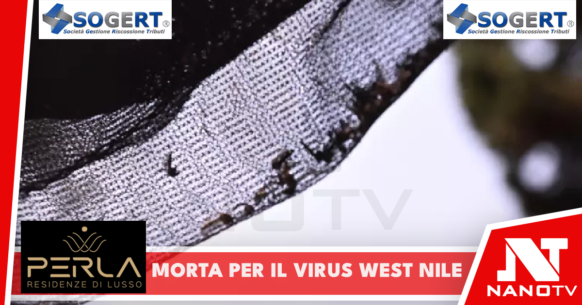 Donna muore nel Napoletano per il virus West Nile