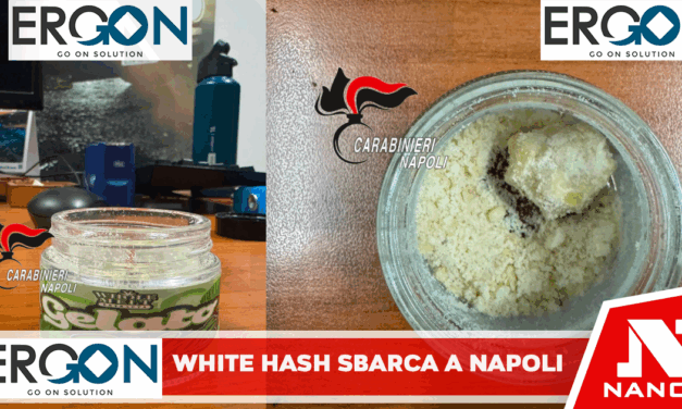 *Pozzuoli: Il white hash sbarca a Napoli ed è in mano a degli incensurati. Carabinieri arrestano 4 persone*
