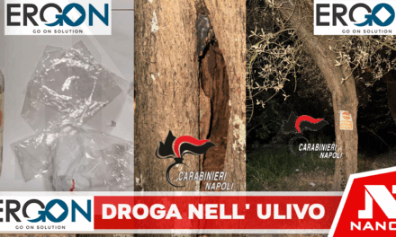 *Massa Lubrense: Nel giardino del Tirreno un pusher dava indicazioni per trovare la droga nell’ulivo. Carabinieri arrestano 55enne*