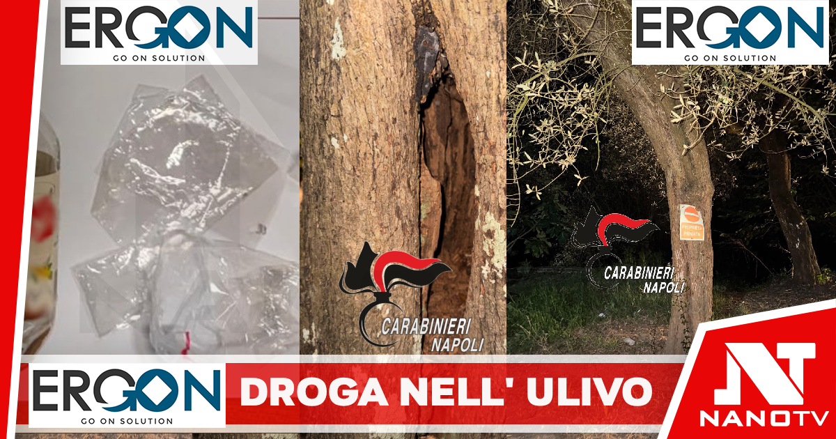 *Massa Lubrense: Nel giardino del Tirreno un pusher dava indicazioni per trovare la droga nell’ulivo. Carabinieri arrestano 55enne*