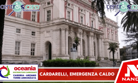 Cardarelli, emergenza caldo: nell’ultima settimana oltre 1500 accessi, il picco lunedì con 256 persone in Pronto soccorso in 24 ore.