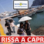 Rissa a Capri tra turisti e titolari di un negozio di souvenir