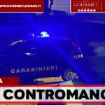 Fuga contromano e schianto in circumvallazione: denunciati tre giovani a Casoria