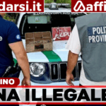 Sant’Arpino, oltre 200 volatili trovati in gabbia: sequestri e denunce della Polizia Provinciale