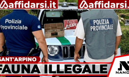 Sant’Arpino, oltre 200 volatili trovati in gabbia: sequestri e denunce della Polizia Provinciale