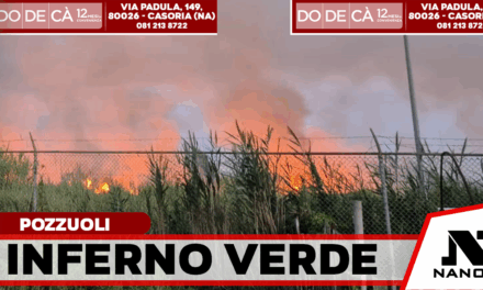 Sterpaglie in fiamme, rogo devastante a Pozzuoli: bruciati 7 ettari di macchia mediterranea, arrestato un 52enne