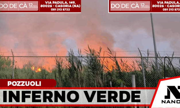 Sterpaglie in fiamme, rogo devastante a Pozzuoli: bruciati 7 ettari di macchia mediterranea, arrestato un 52enne
