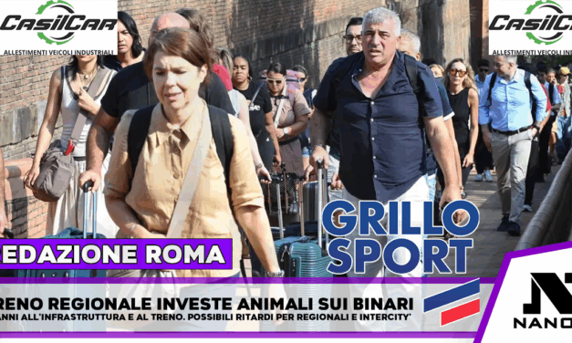 Circolazione sospesa sulla Orte-Roma dopo investimento animali da parte di un treno regionale