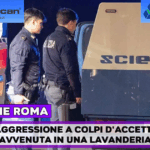 Aggressione a colpi di accetta in una lavanderia, arrestato un 22enne