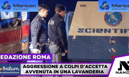 Aggressione a colpi di accetta in una lavanderia, arrestato un 22enne
