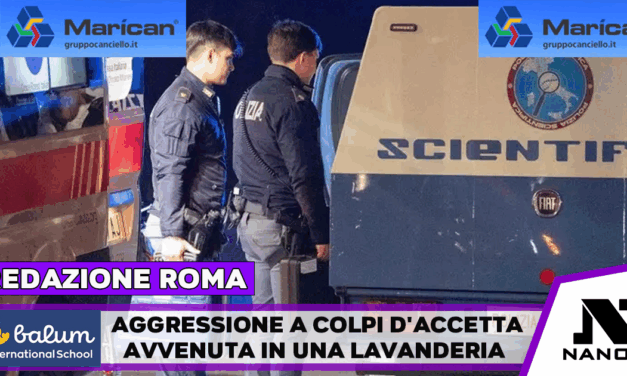 Aggressione a colpi di accetta in una lavanderia, arrestato un 22enne