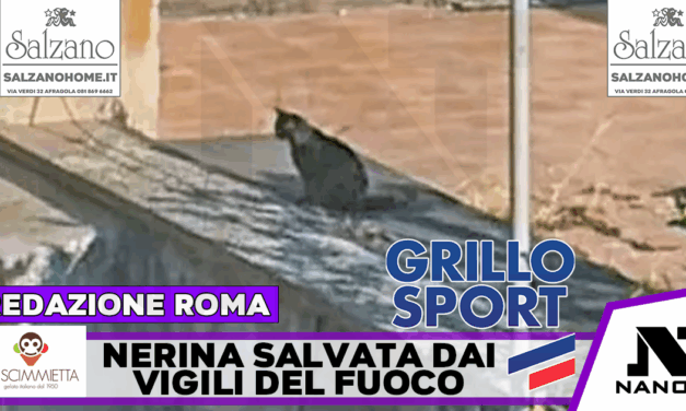 Cordata di solidarietà per salvare una gattina intrappolata da 3 giorni