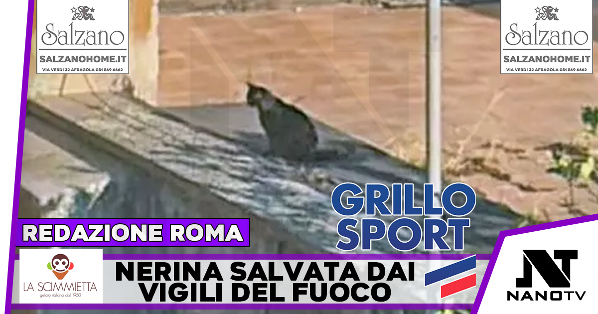 Cordata di solidarietà per salvare una gattina intrappolata da 3 giorni