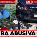Serra di marijuana nel seminterrato: arrestato 47enne a Casapesenna