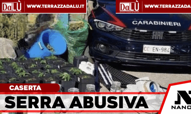 Serra di marijuana nel seminterrato: arrestato 47enne a Casapesenna