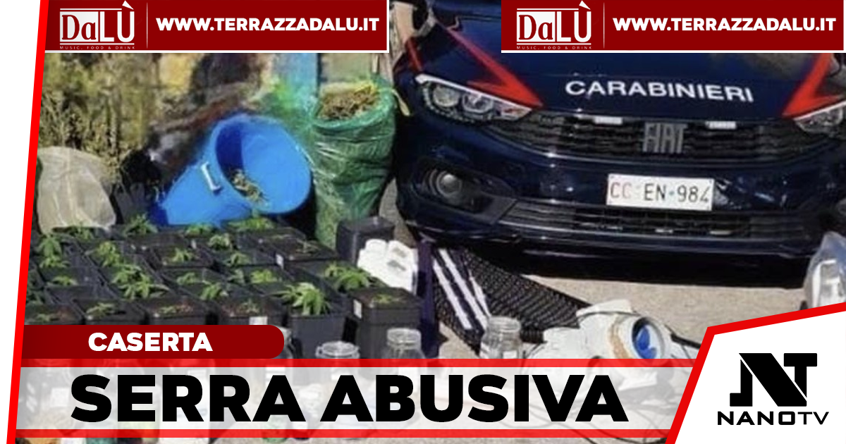 Serra di marijuana nel seminterrato: arrestato 47enne a Casapesenna