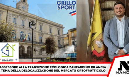 Afragola. 48 gradi nell’area mercato. Assessore Zanfardino: «Ora serve una svolta urbanistica»