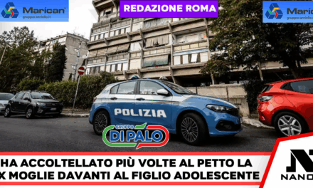 Accoltella l’ex moglie e fugge con il figlio, preso dopo 7 ore di ricerche