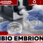 Scambio di embrioni all’Ospedale San Paolo, inviata la cartella clinica: “Gravi inadempienze”