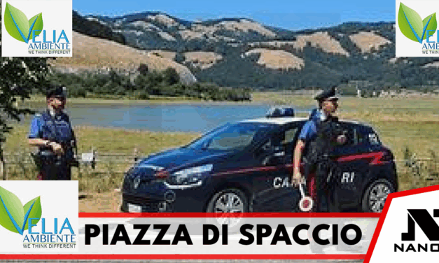 *NAPOLI: dal “labor” di Catone alla resilienza di pusher e Carabinieri. Una piazza di spaccio riapre per essere smantellata poco dopo. 2 persone in manette*
