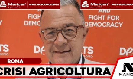 Agroalimentare sotto scacco, l’allarme di Agrocepi: “Servono interventi immediati per salvare le imprese”