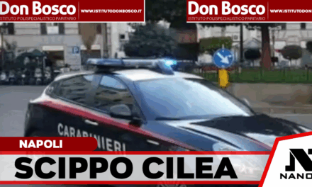 *NAPOLI VOMERO: borsa strappata in pieno giorno. Immortalato dalle telecamere, 48enne denunciato dai Carabinieri*