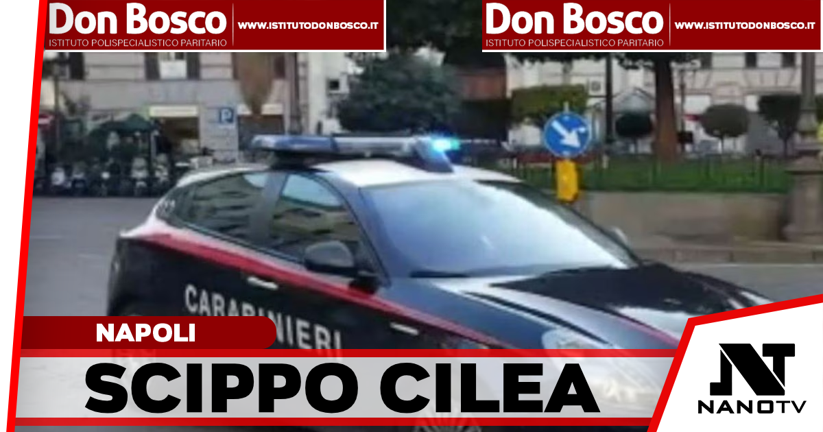 *NAPOLI VOMERO: borsa strappata in pieno giorno. Immortalato dalle telecamere, 48enne denunciato dai Carabinieri*