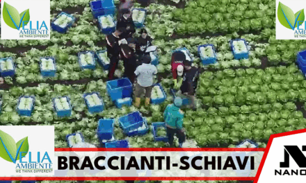Braccianti-schiavi clandestini nel Casertano, a lavoro per 14 ore