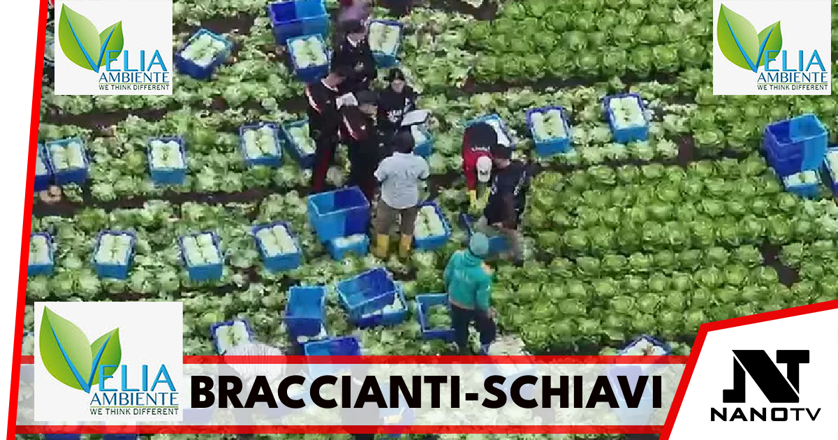 Braccianti-schiavi clandestini nel Casertano, a lavoro per 14 ore