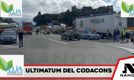 Sciopero autotrasportatori, ultimatum del Codacons: «Via i blocchi o scatteranno le denunce»