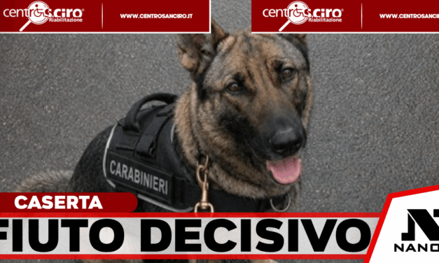 Caserta, Thelma scova l’eroina: due arresti e 12.400 dosi sequestrate