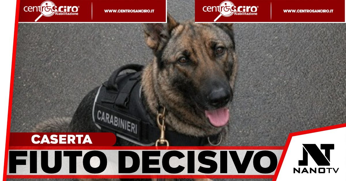 Caserta, Thelma scova l’eroina: due arresti e 12.400 dosi sequestrate