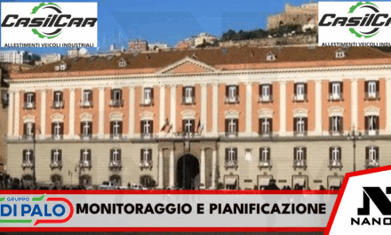 Monitoraggio e pianificazione di interventi sulla incidentalità stradale. Focus sull’Isola di Ischia